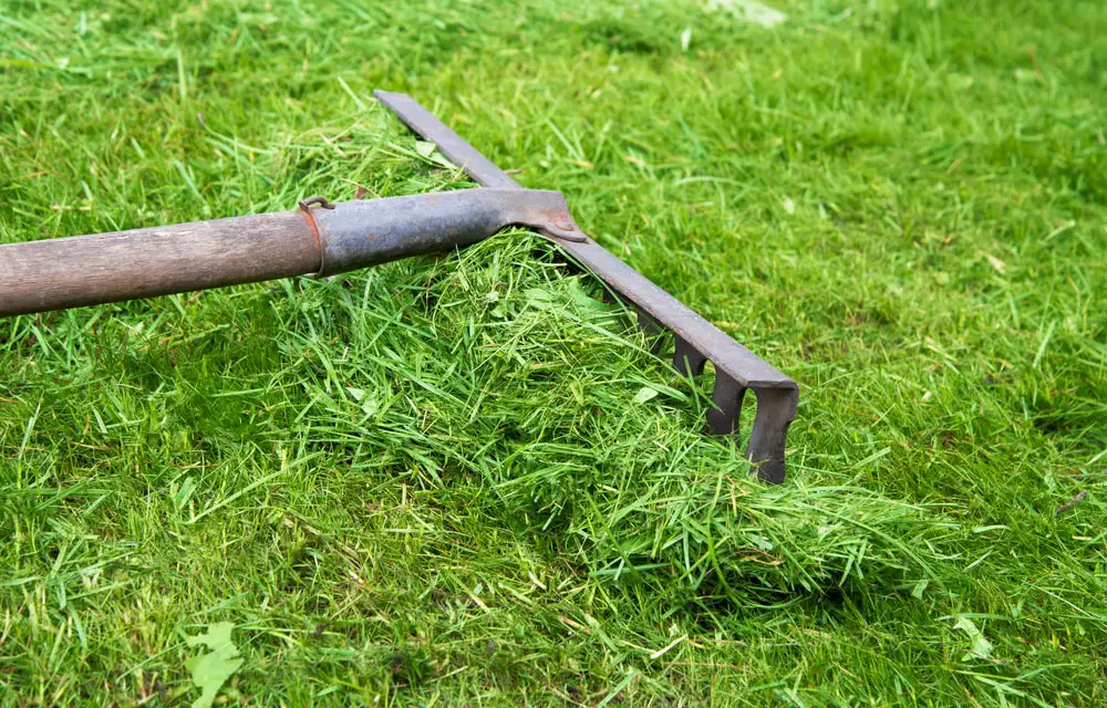 Green waste and rubbish removal service