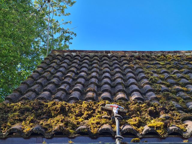 Roof treatments and sealing service
